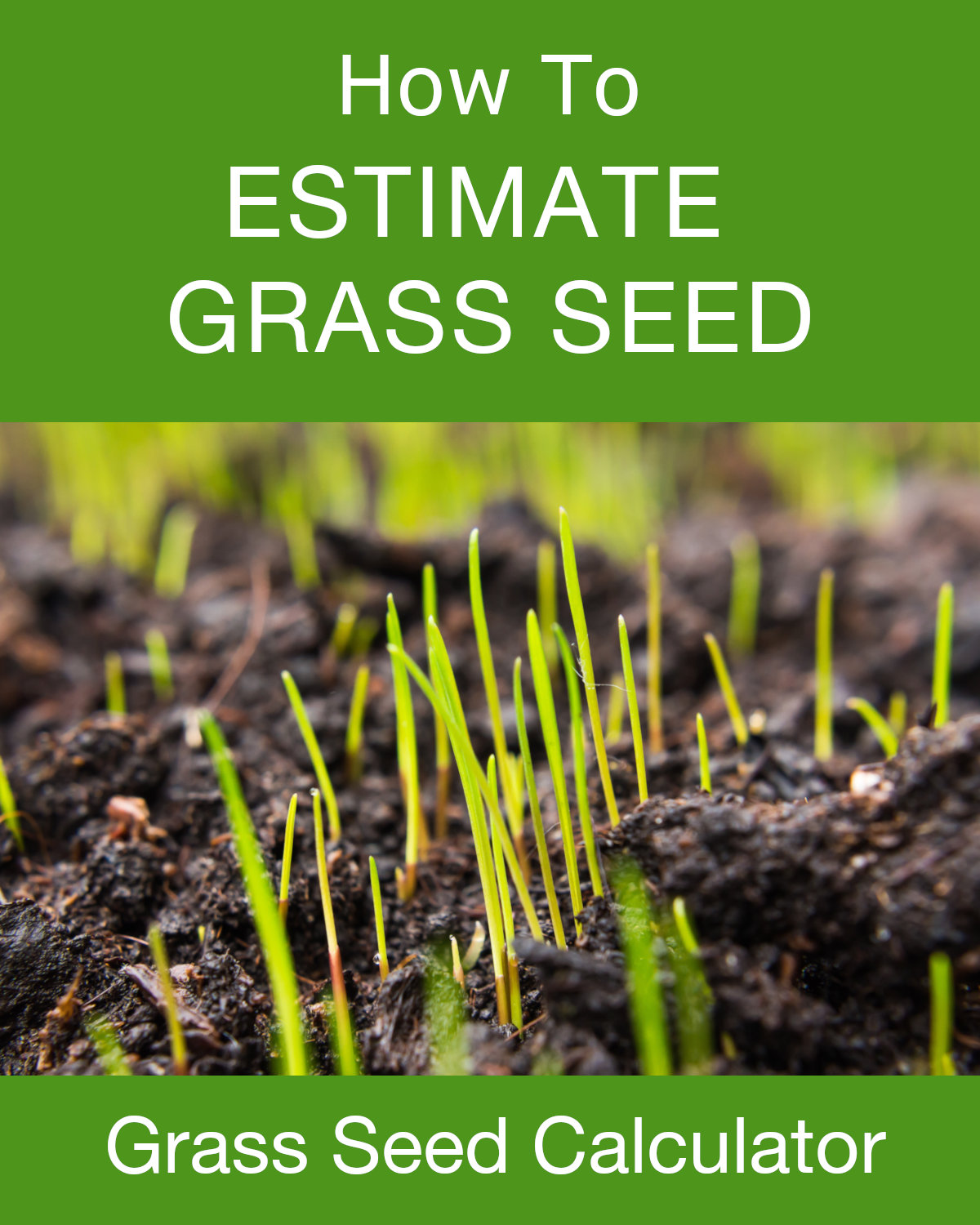 how to estimate grass seed