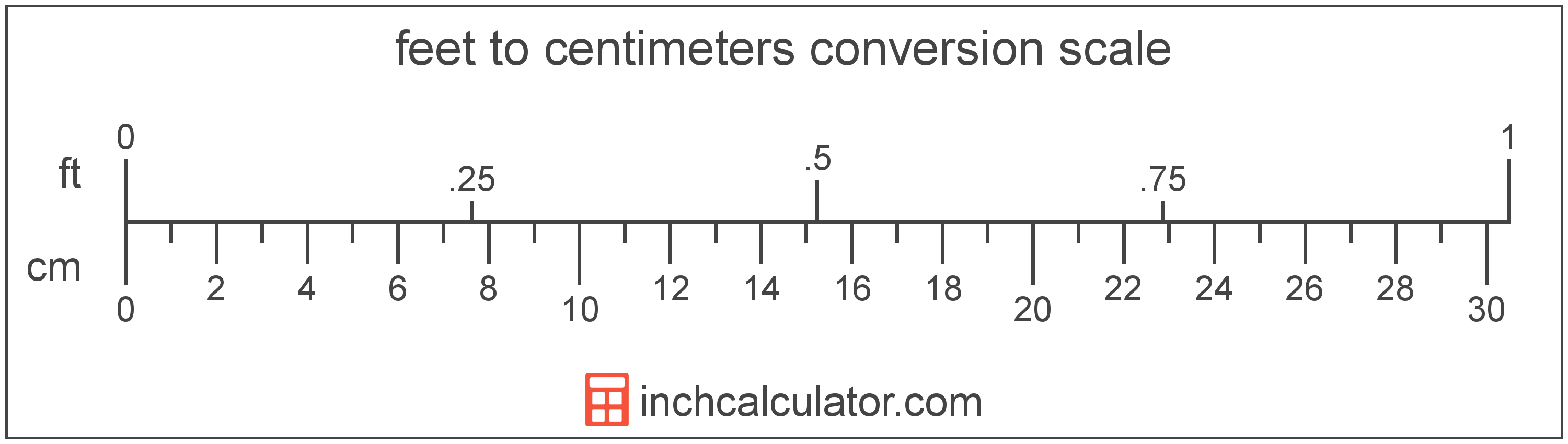 conversion scale showing feet and equivalent centimeters length values