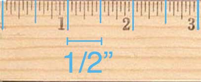 The large ticks on a ruler between the inch markings represent a half inch.