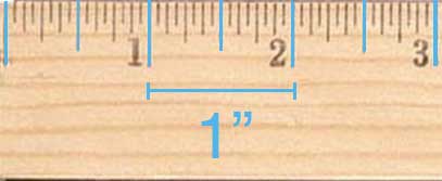 Inch markings on a ruler are the longest ticks. There are usually 12 inches on a ruler.