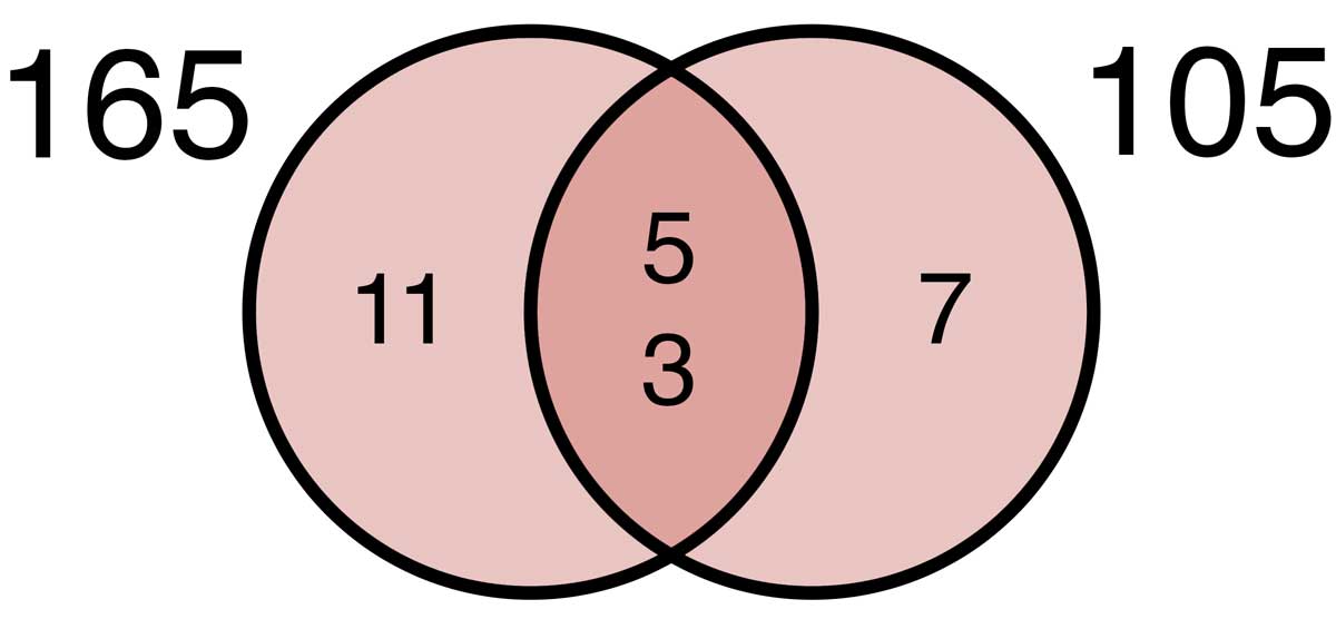 Least Common Denominator Chart