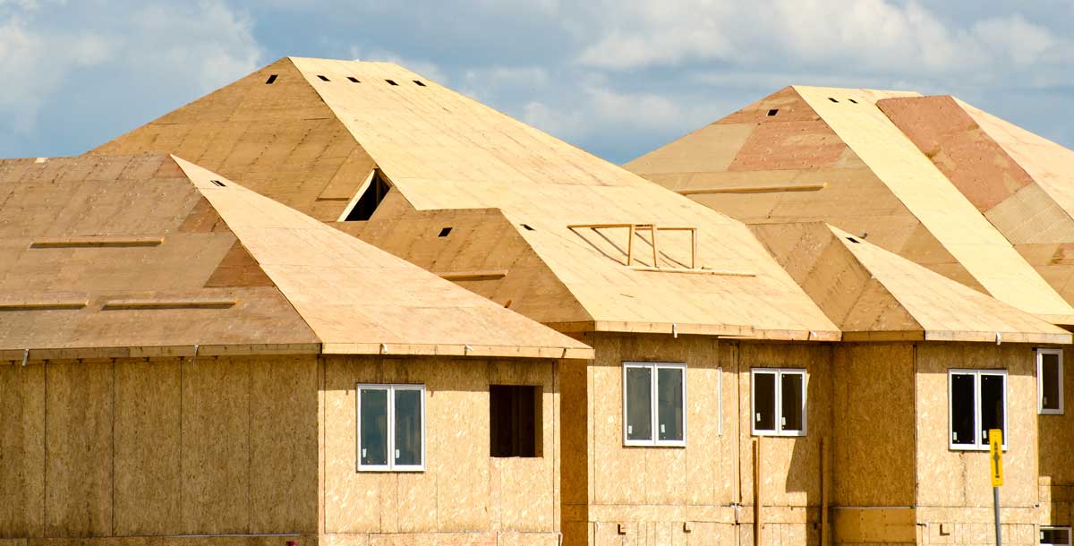 Plywood sheathing installed on a newly framed roof of a home