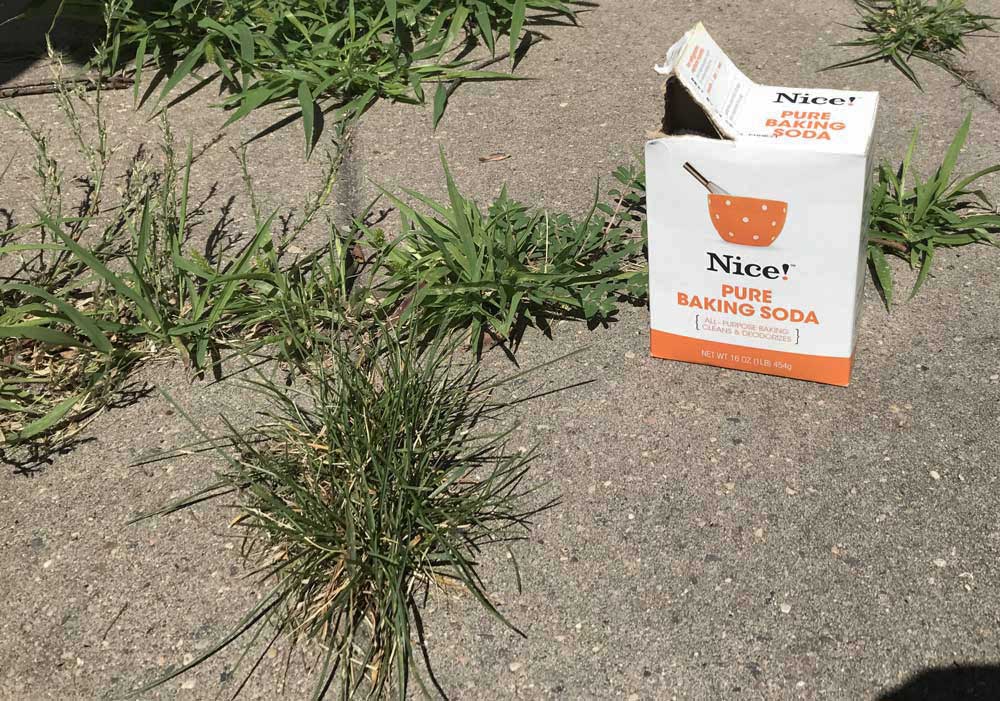 Box of baking soda sitting on a patio after being used to remove weeds