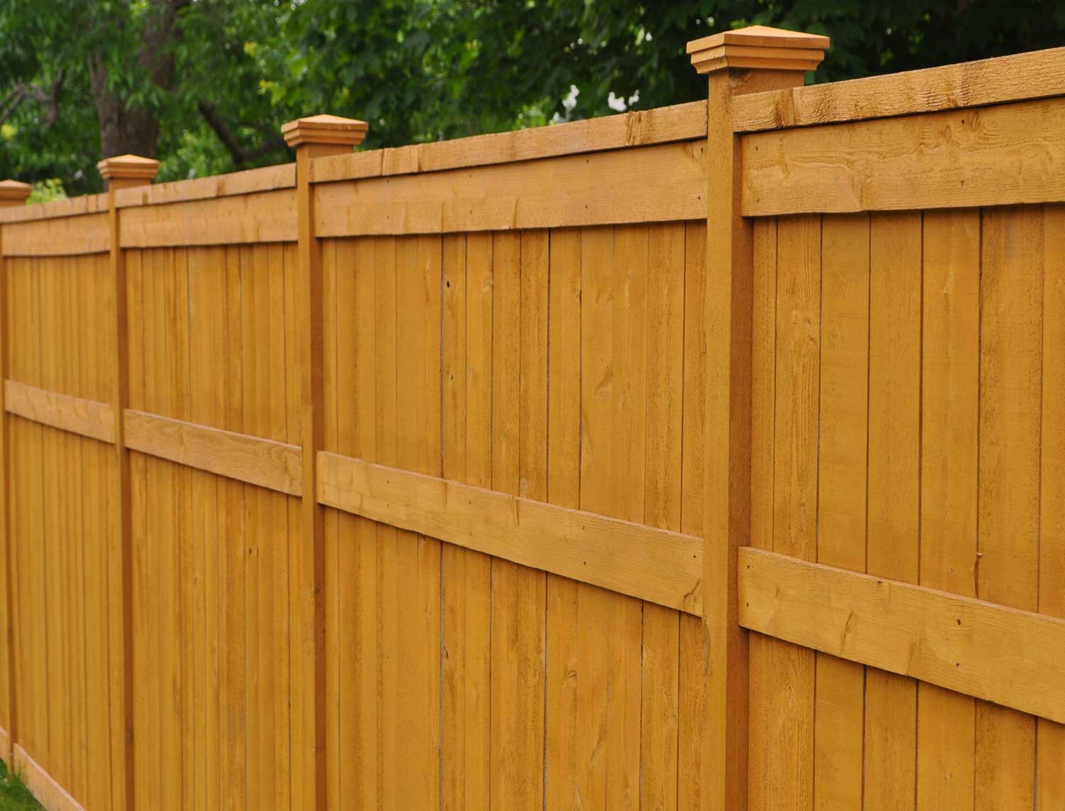 Find Professional Fence Installers Near You and Get Free