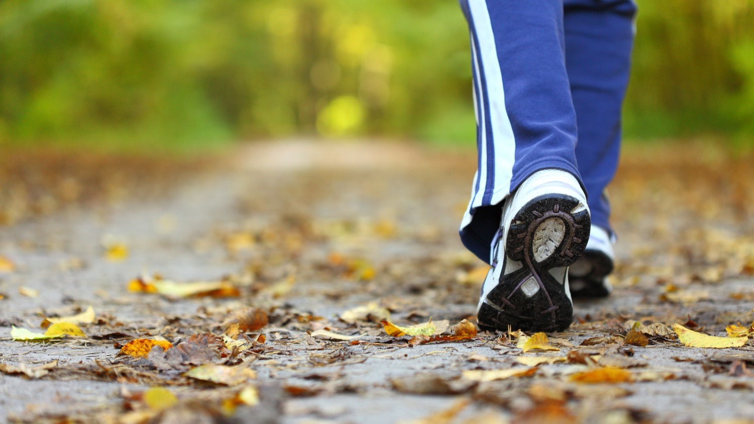 Person walking on a path