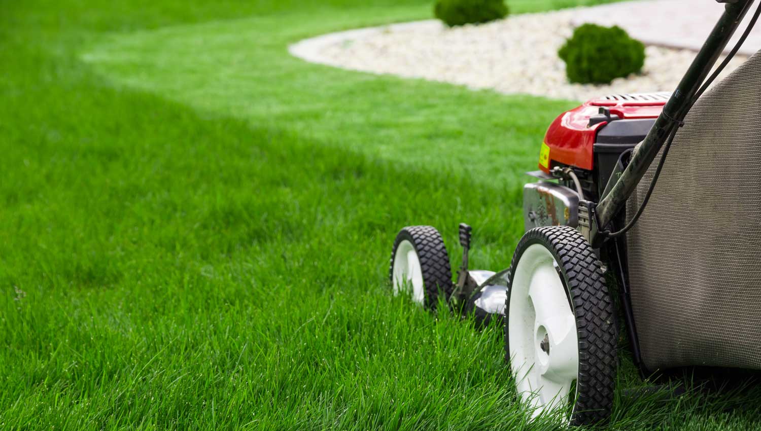 professional landscaper mowing a lawn