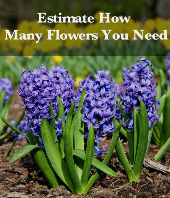 Estimate how many flowers or plants are needed to fill a landscaping bed using the plant calculator.