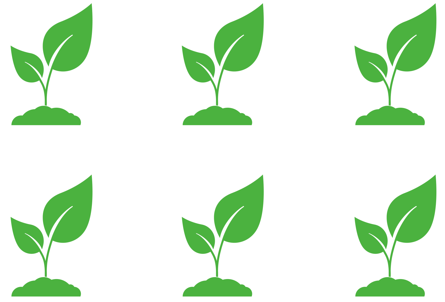 Rectangular planting pattern