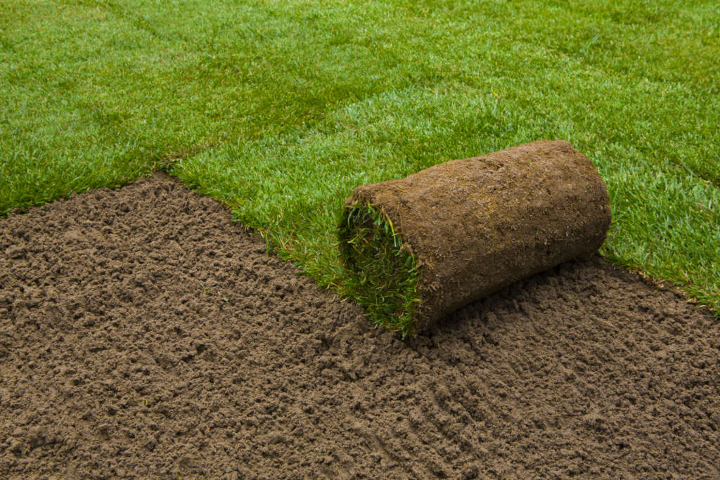 new turf being installed using rolls of sod