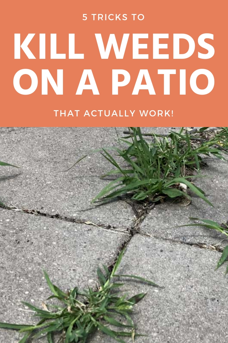 5 Tricks to Get Rid of Weeds on Your Patio that Actually Work Inch