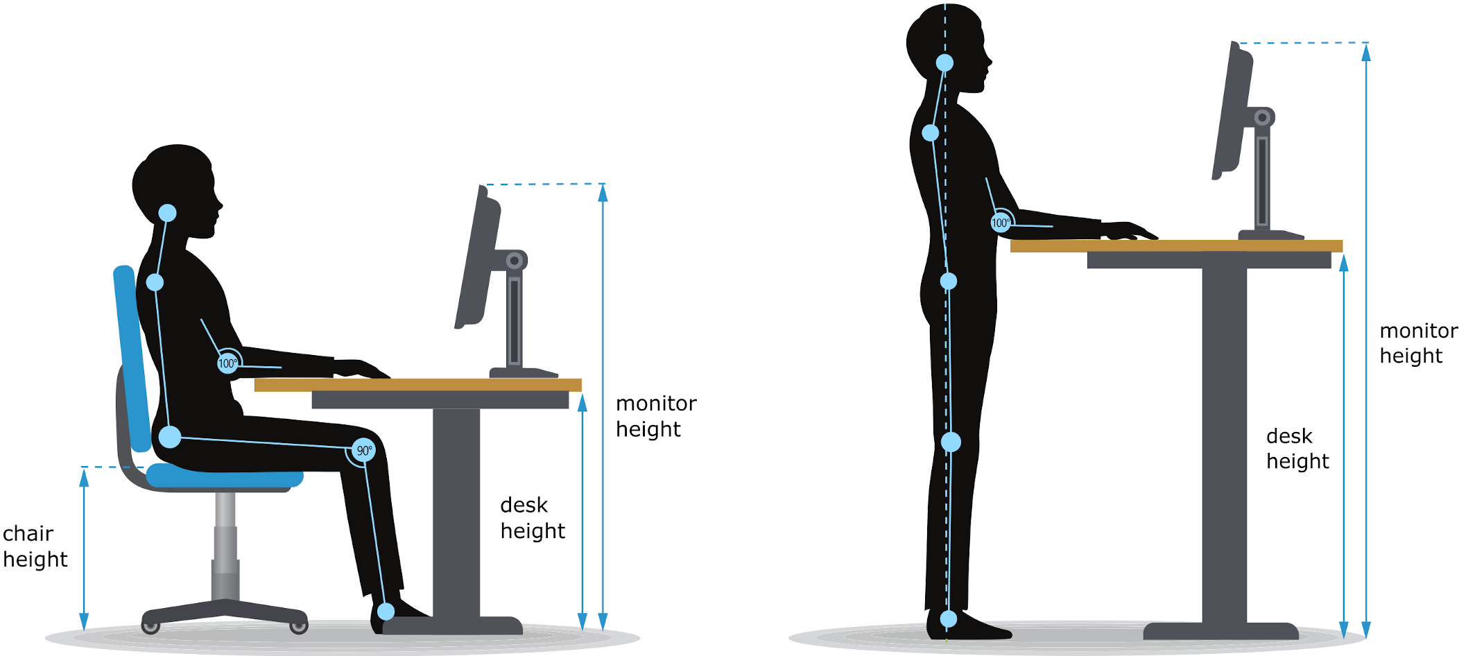 Diagram showing the key measurements to find the ergonomic desk height
