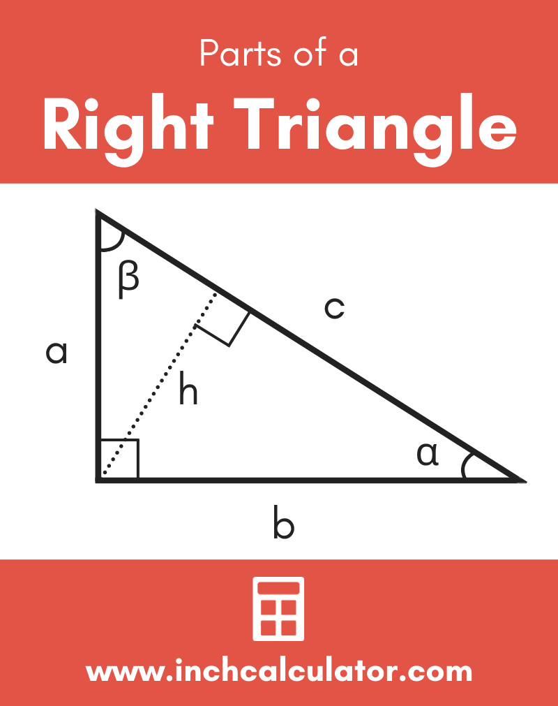 Share right triangle calculator