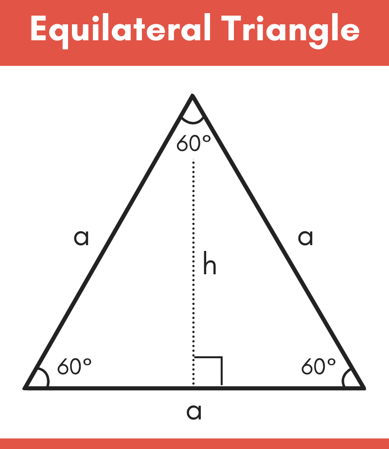 diagram showing the parts of an equilateral triangle