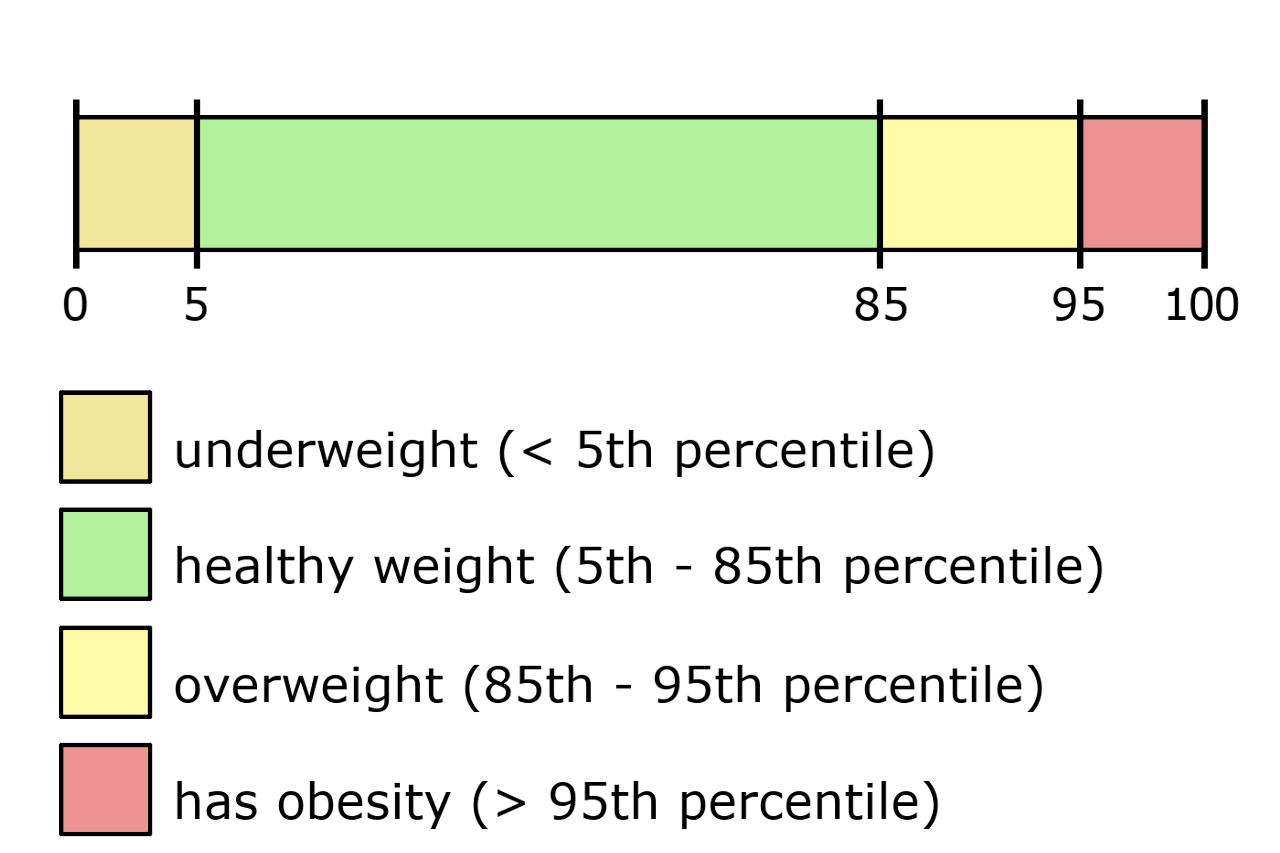 Scale showing range of child BMI percentiles and their BMI classifications.