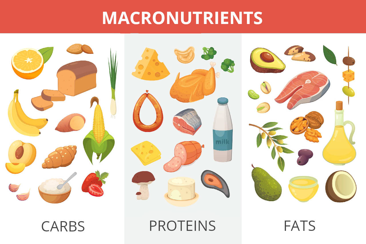 Macro Calculator for Weight Loss