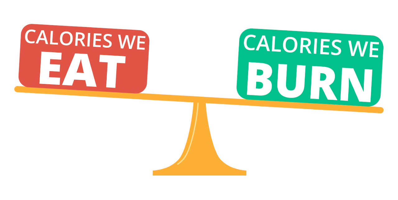 scale showing more calories burned than calorie intake to create a deficit