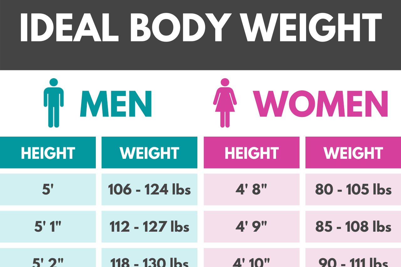 And Female Weight Chart