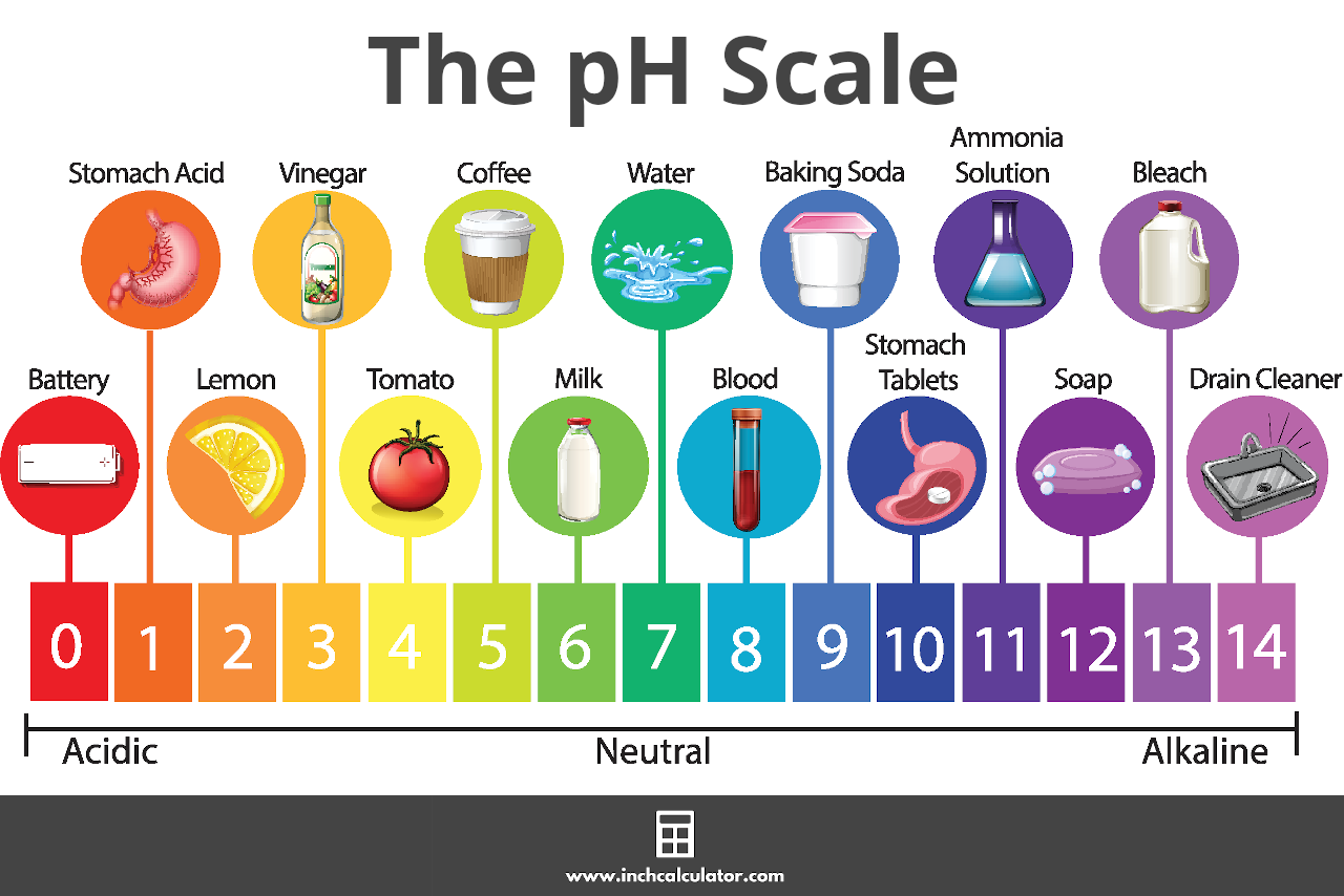 Infographic showing the pH scale from 0-14 and the various compounds at each pH level