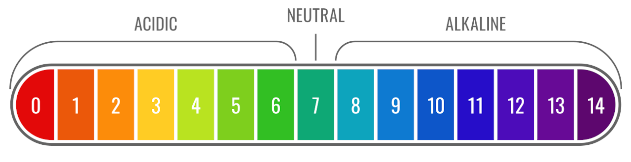 Graphic showing the pH result on the pH scale