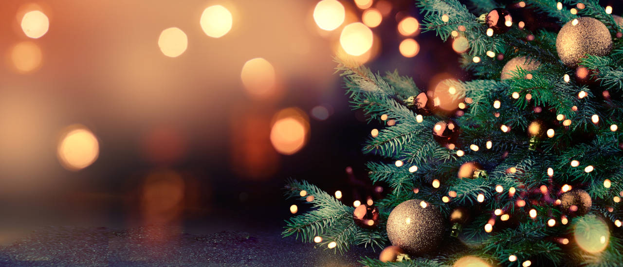 Christmas tree and holiday lights