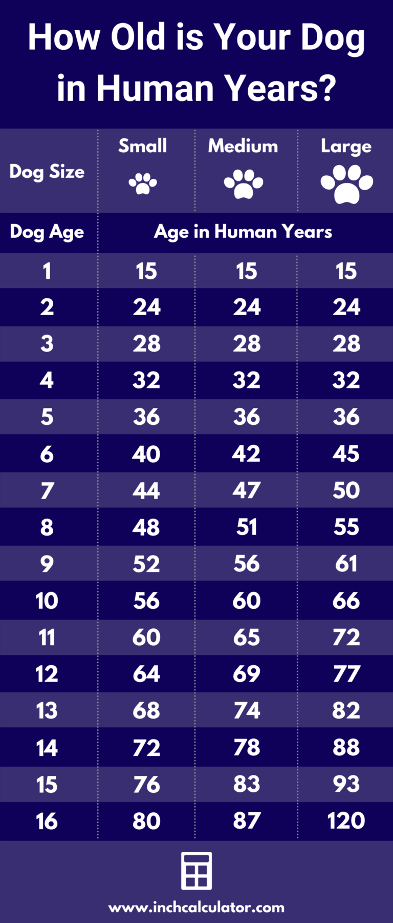 Dog Age Calculator Dog Years to Human Years by Breed Inch Calculator
