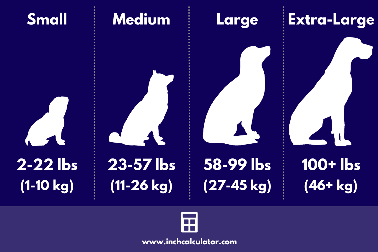 chart showing the size ranges for dogs ranging from small to extra-large