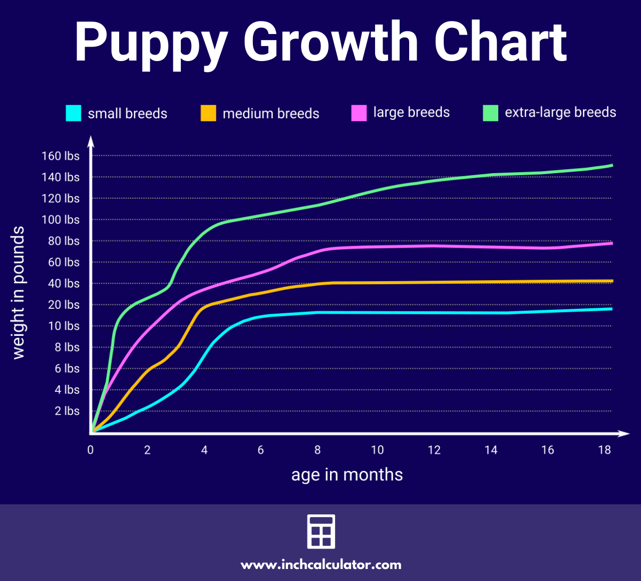 Spaniel Growth Chart